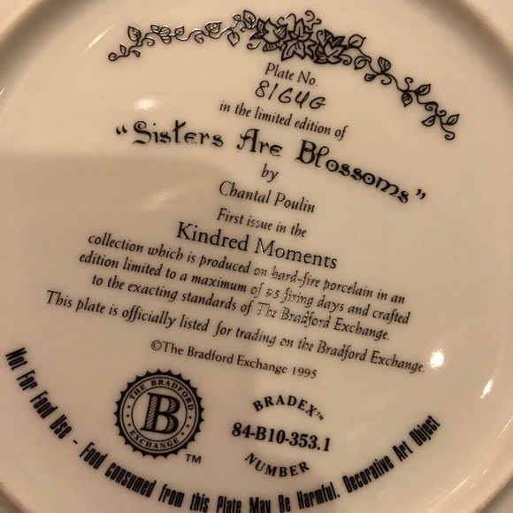 Bundle of 3 items: Sisters are a blessing decor plate, mug, hardcover book - Picture 6 of 11